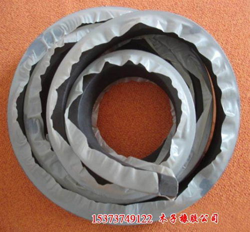 张掖 内涵 关注技术